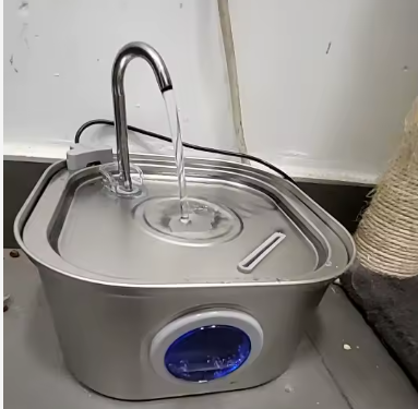 Inneskatt kattvattenfontän i hemmiljö